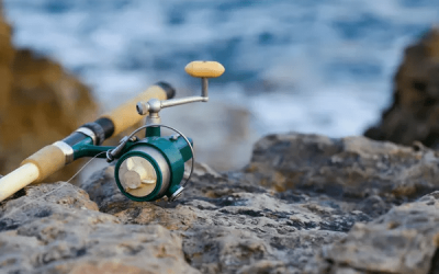 Sportfishing in San Diego: Which Species Can You Find in Autumn