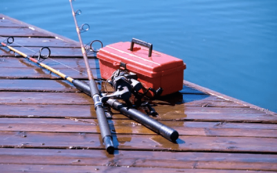 Sportfishing in San Diego During Winter: 3 Key Benefits