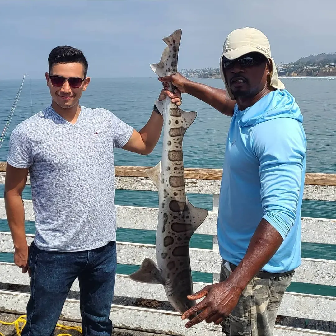 Two men on a pier hold up a large spotted fish with the ocean and coastline in the background.
