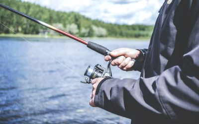 Importance of Fishing Counts for Sportfishing
