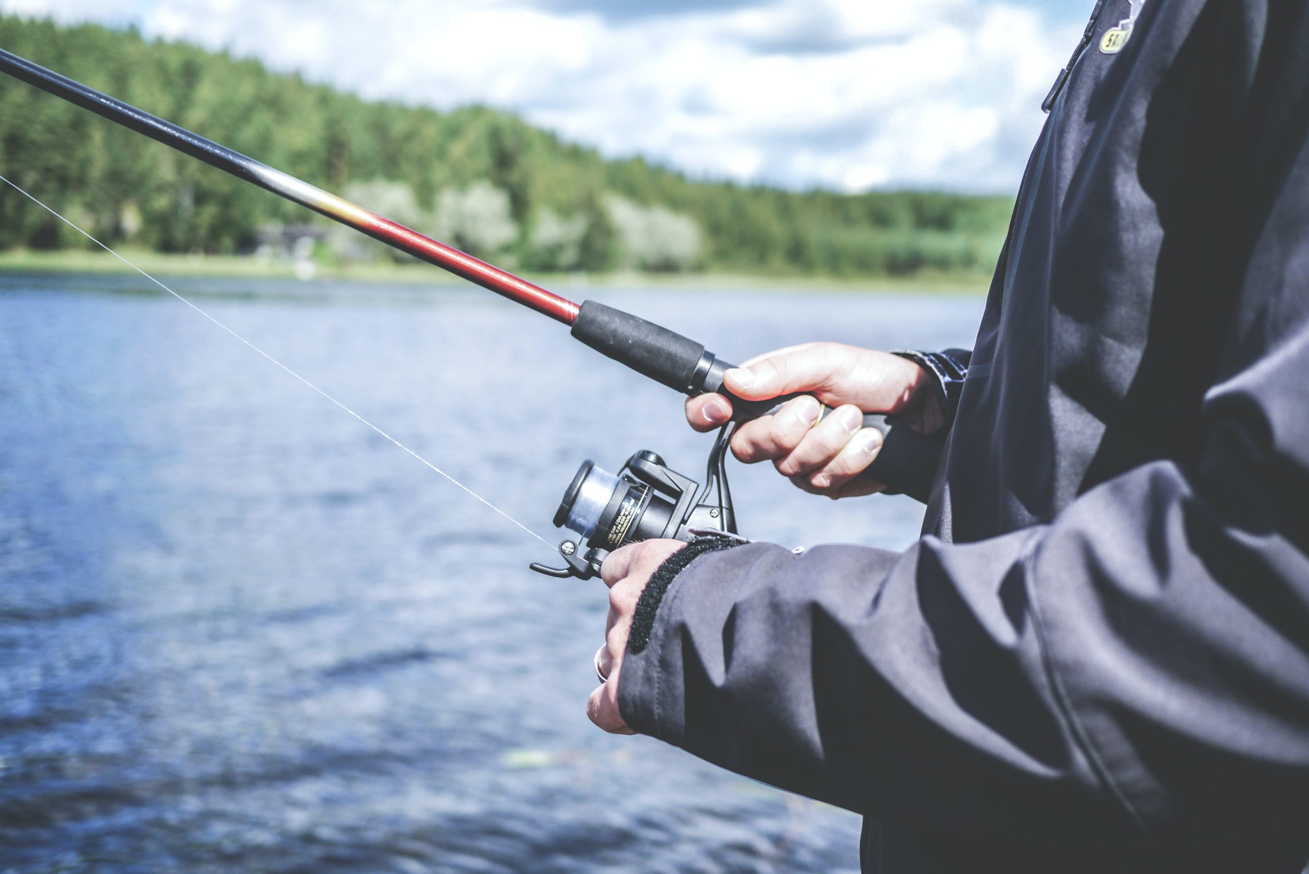 Person in a dark jacket holding a fishing rod by a lake, surrounded by trees under a cloudy sky.