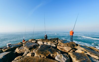 San Diego Fishing Adventures: A Family-Friendly Guide
