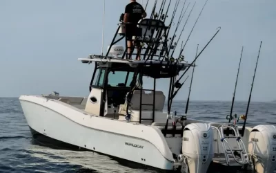 How Weather and Tides Affect Fishing in San Diego