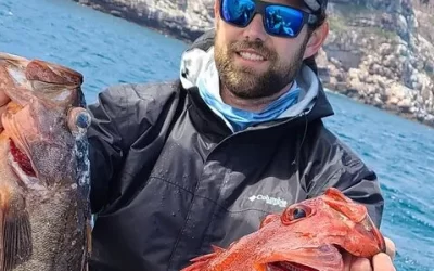 Top Fish You Can Catch While Shoreline and Pier Fishing in San Diego