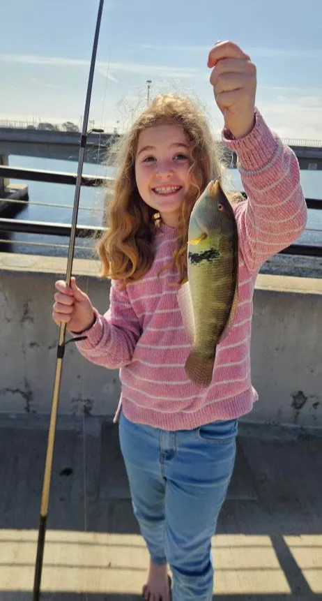 Smiling girl holding a fishing rod and a fish she caught, standing near water on a sunny day.