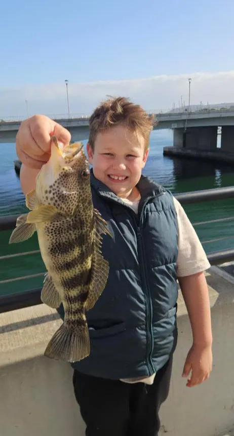 Smiling boy holding up a large fish beside a waterfront railing with a bridge in the background.