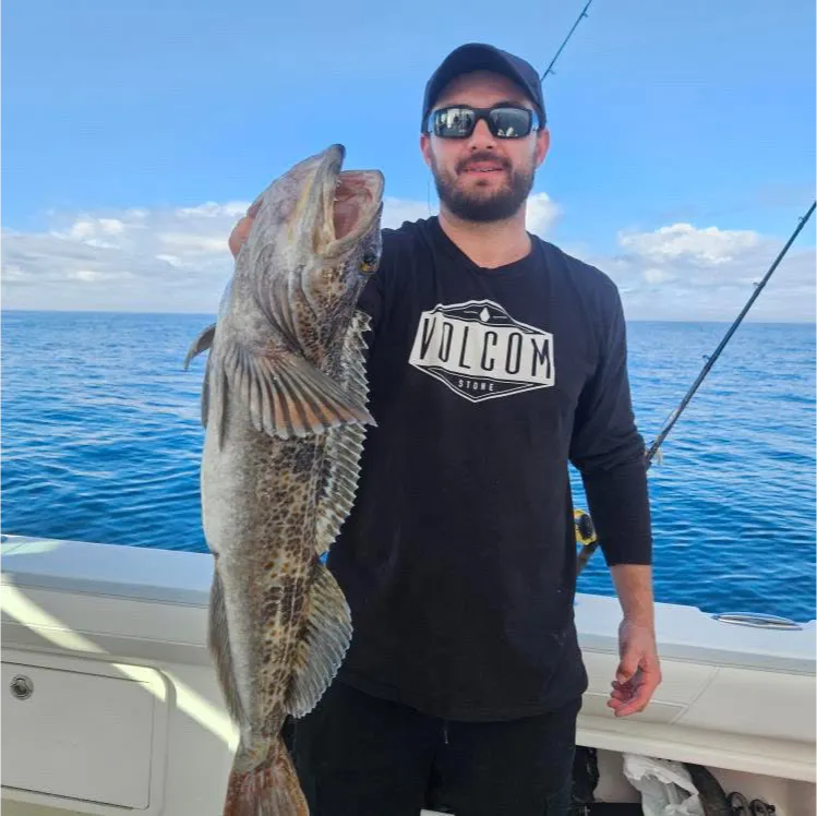 deep-sea-fishing-2 Man in sunglasses and a black shirt holding a large fish on a boat with the ocean in the background.