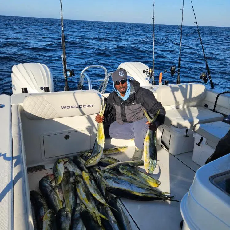 fishing-charter-1 Man on a boat holding two large fish, surrounded by many more fish on the deck, with ocean in the background.