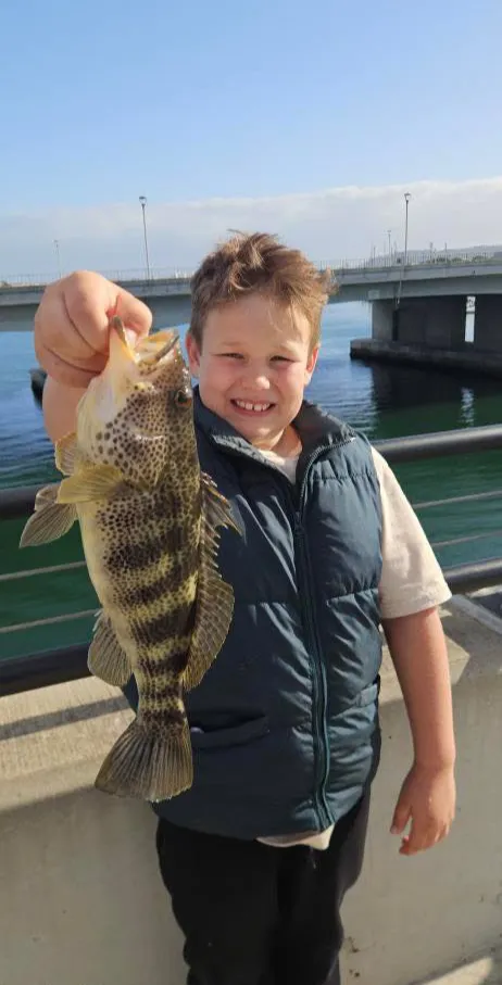 fishing-guide-1 Smiling child holding a large fish by the water with a bridge in the background on a sunny day.