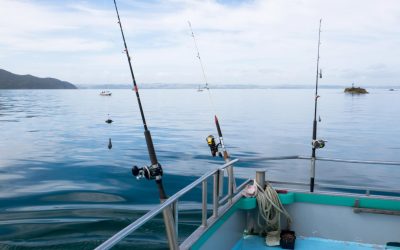 What to Bring on Your First Guided Fishing Trip in San Diego