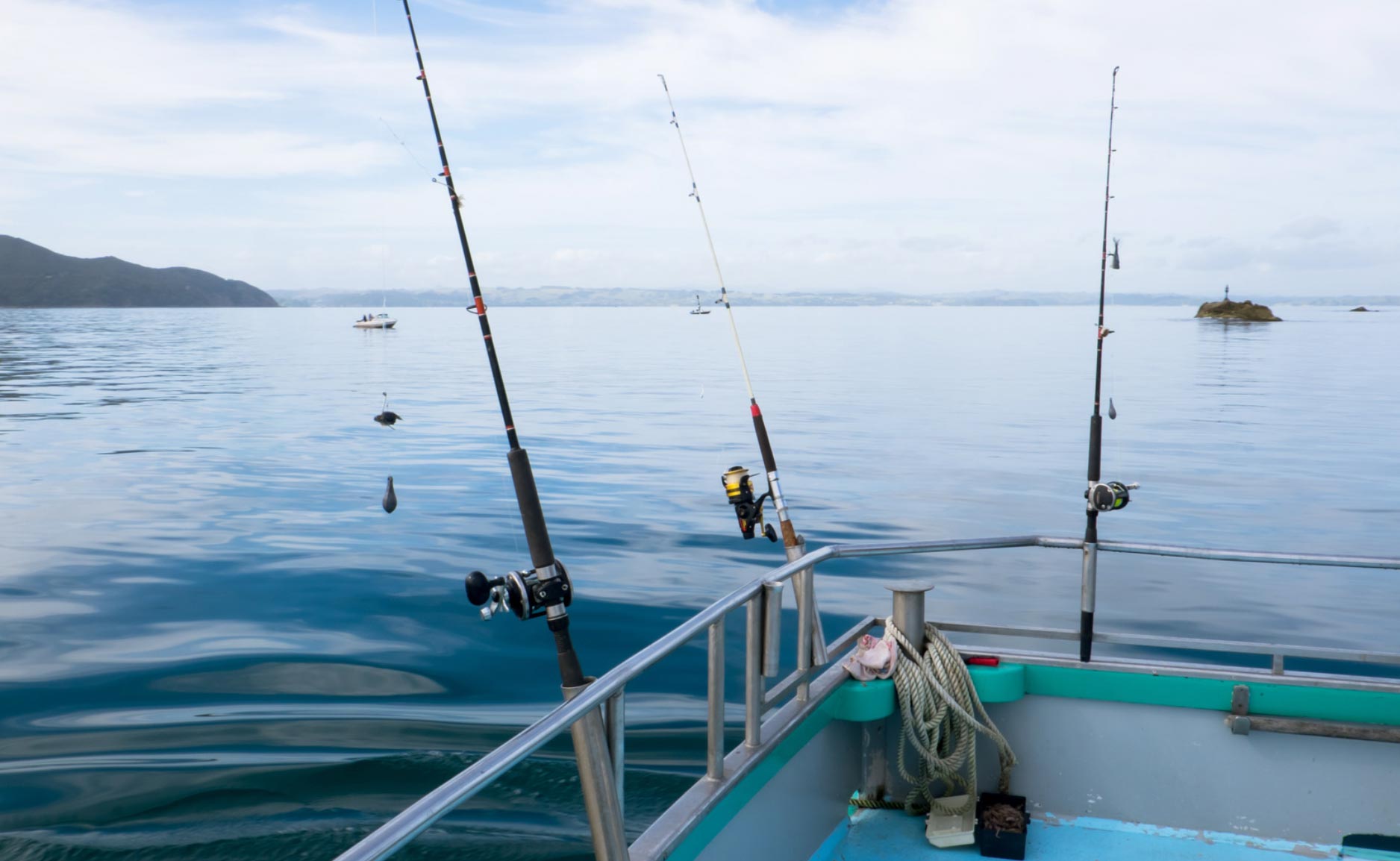 Three fishing rods mounted on a boat over calm water, with distant boats and land visible under a cloudy sky.