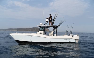 5 Benefits of Booking a Private Guided Fishing Tour Instead of Fishing on Your Own