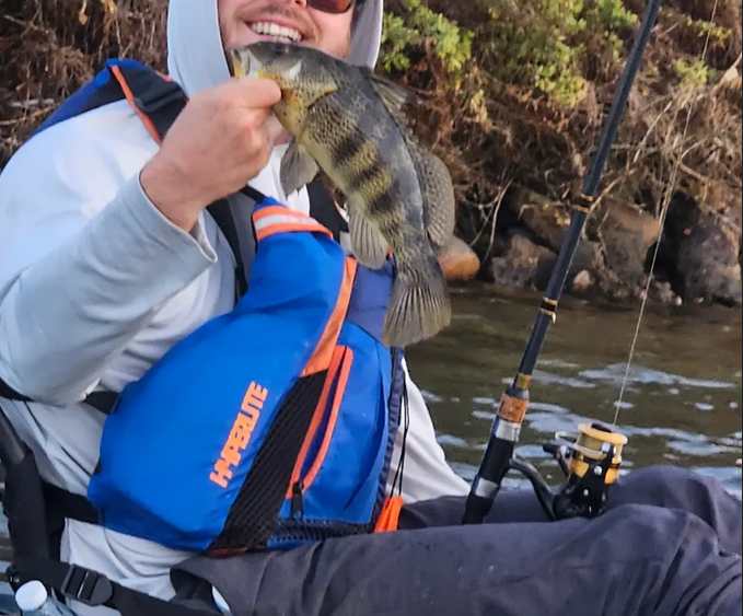 Person wearing a blue life jacket holds a fish and a fishing rod while sitting near a riverbank.