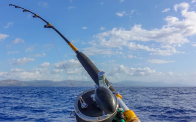 Deep Sea vs. Shoreline Fishing: What to Expect and Which Is Right for You