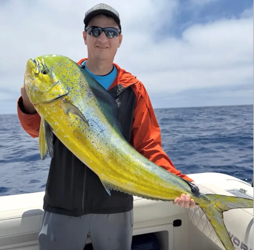 Person in sunglasses on a boat holding a large, bright yellow and green fish with the ocean in the background.